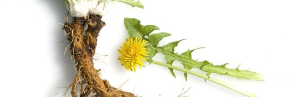 Cancer treatments and healing